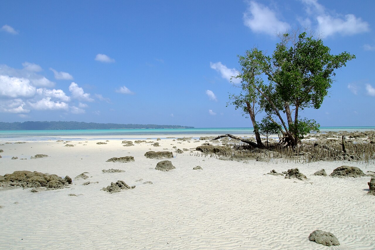 The Best Beaches Near Coronado, Panama
