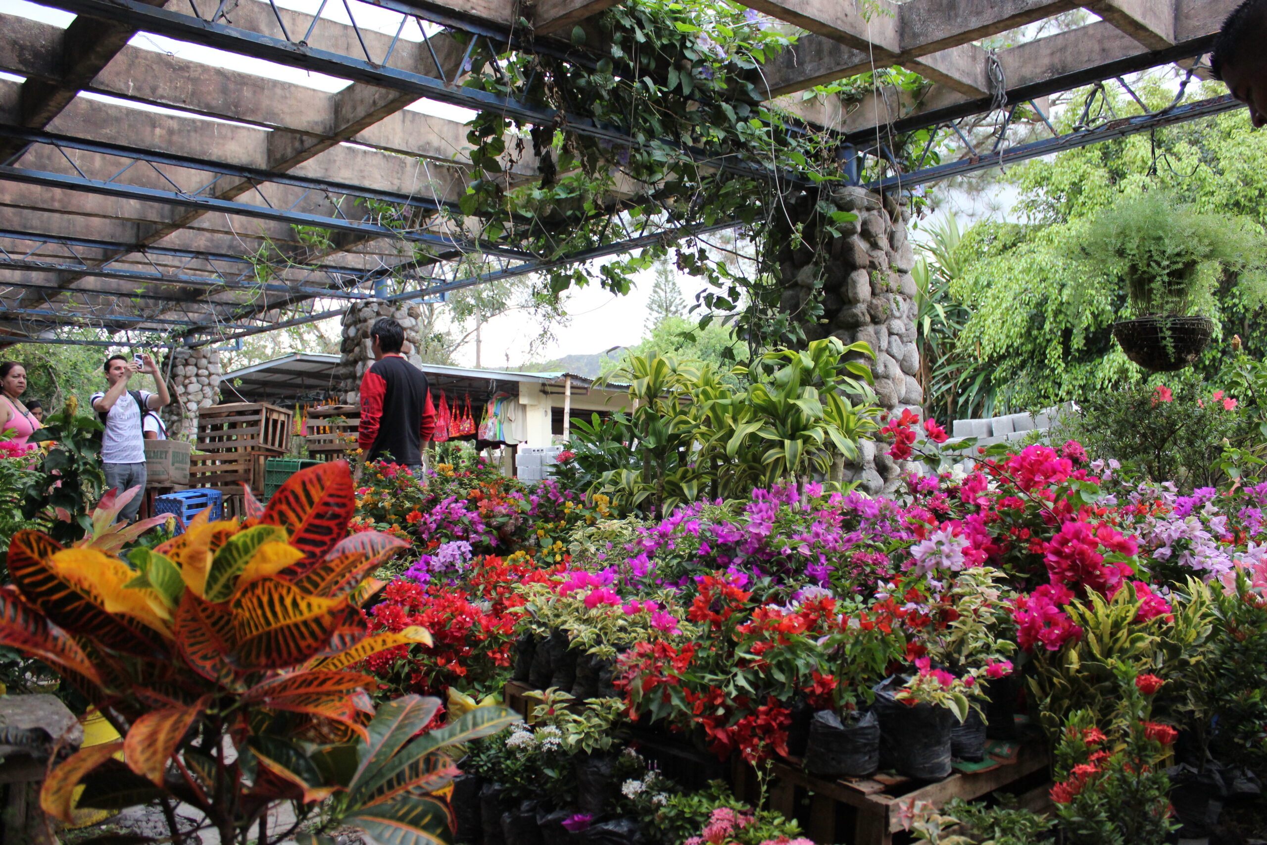 Markets & Shopping in Coronado, Panama: Supermarkets, Malls & Local Vendors